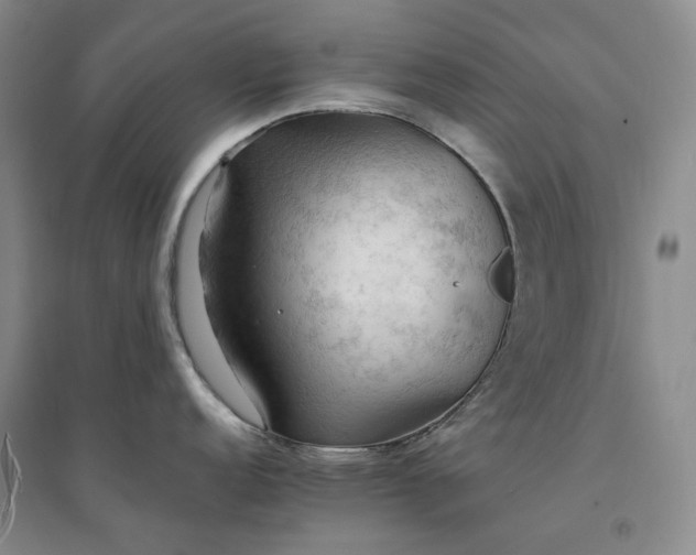 X0000094451152200711151422