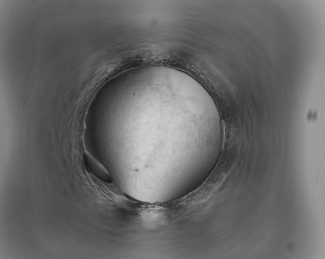 X0000094451153200711151421