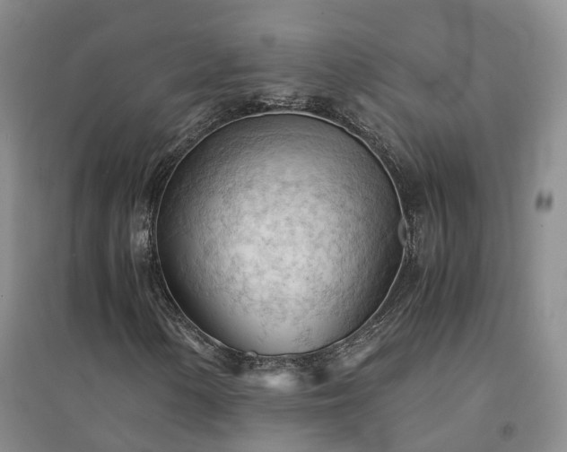 X0000094451154200711151421