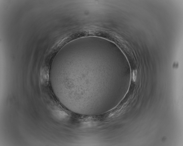 X0000094451155200711151421