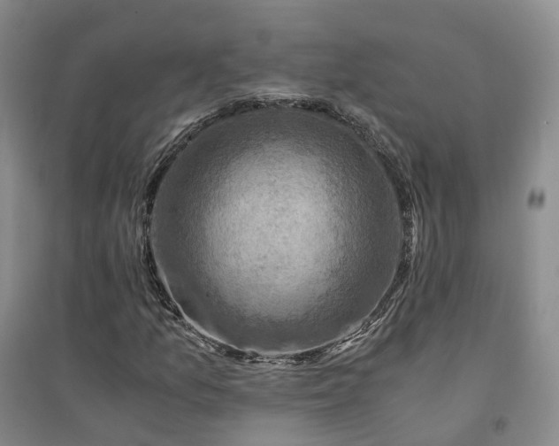 X0000094451157200711151421
