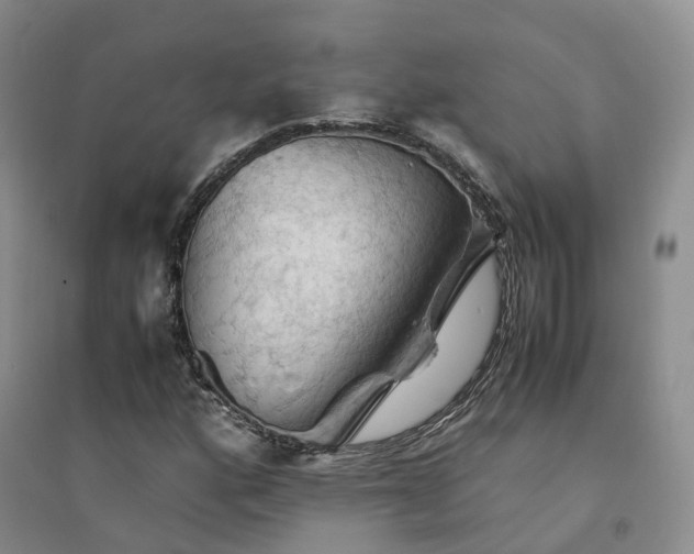 X0000094451160200711151421