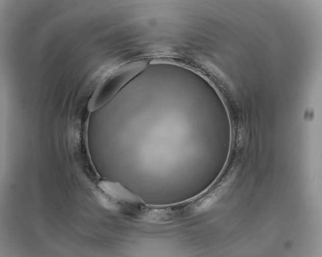 X0000094451161200711151421