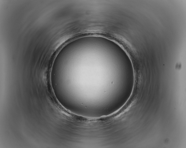 X0000094451162200711151421