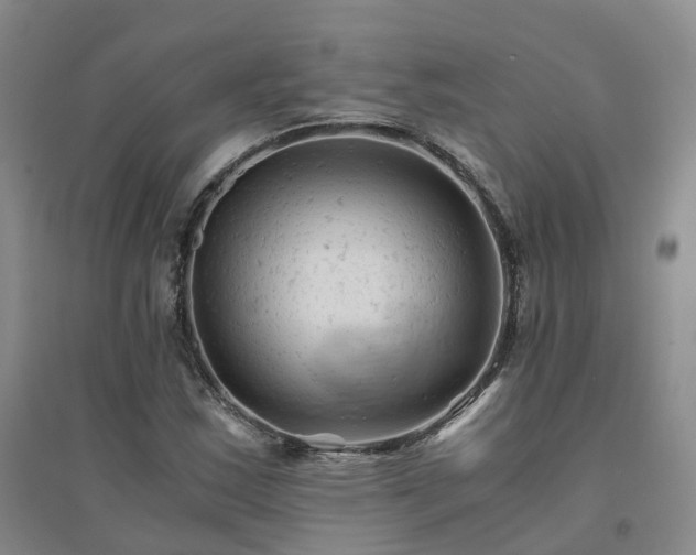 X0000094451163200711151421