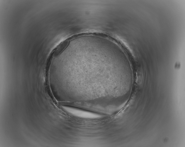 X0000094451165200711151421