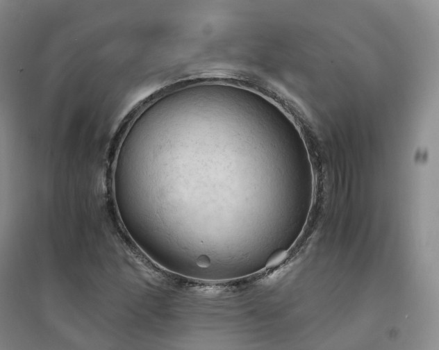 X0000094451166200711151421