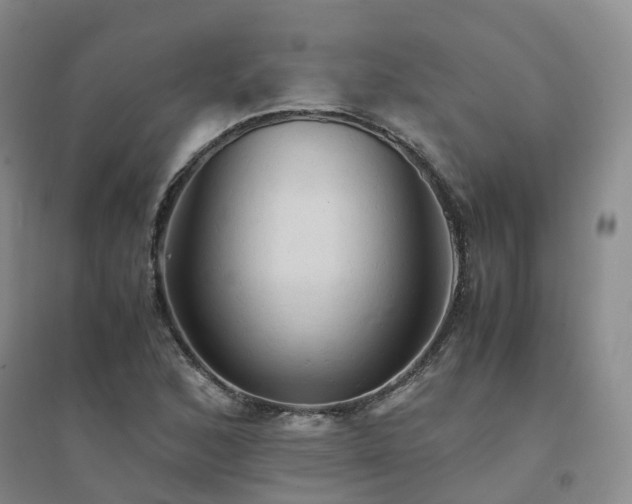 X0000094451168200711151421