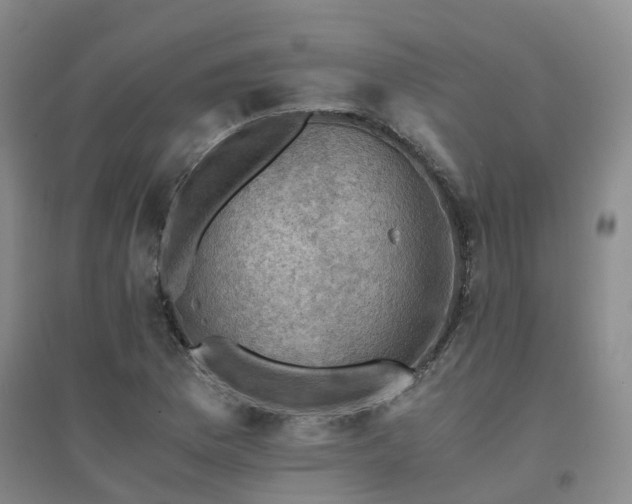 X0000094451169200711151421