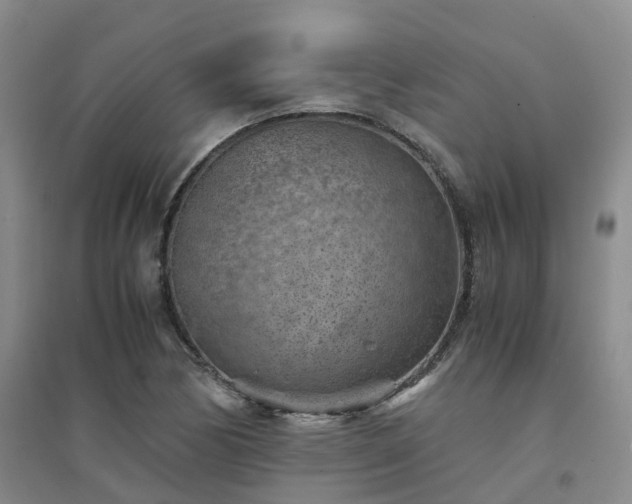 X0000094451170200711151421