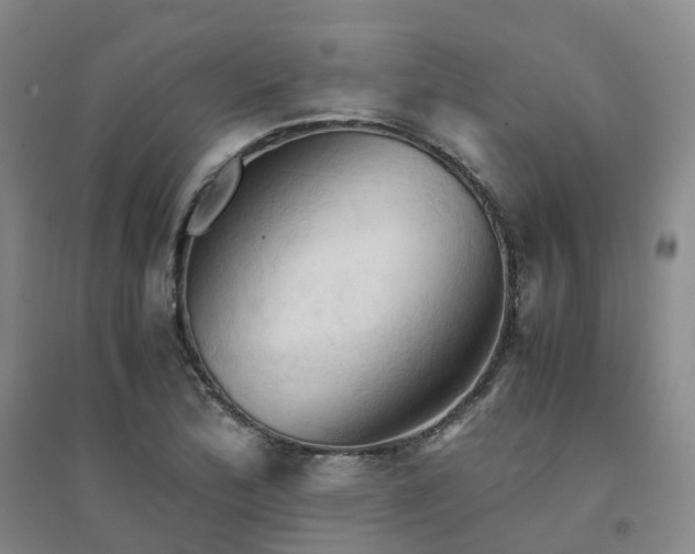 X0000094451172200711151421