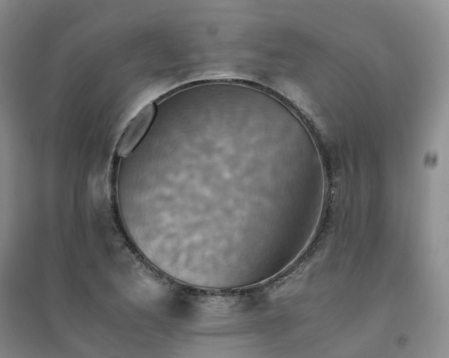 X0000094451173200711151421