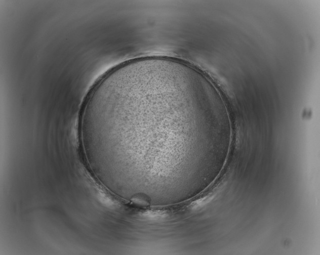 X0000094451174200711151421