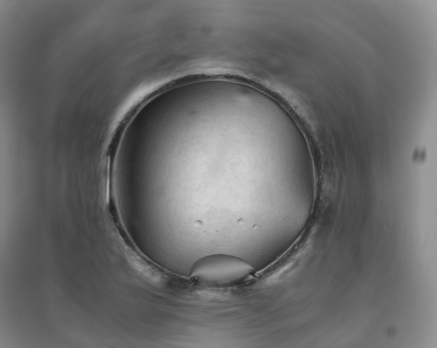 X0000094451175200711151421