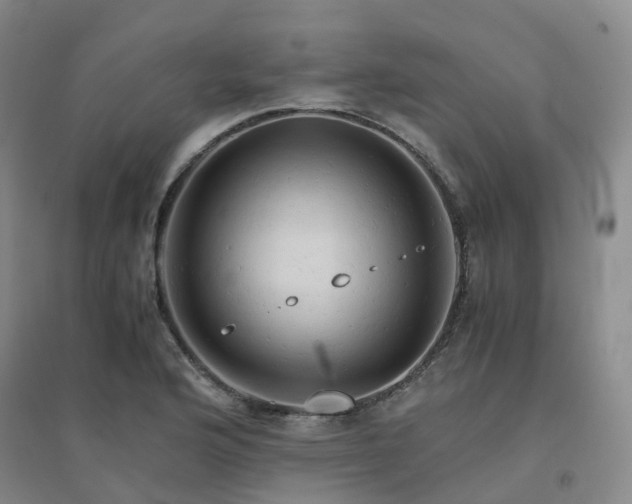 X0000094451176200711151421