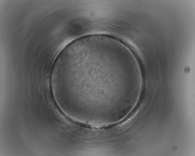 X0000094451177200711151421