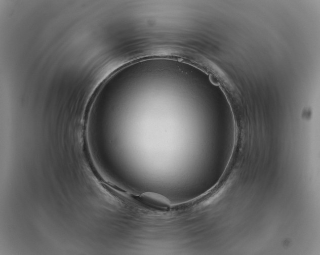 X0000094451178200711151421
