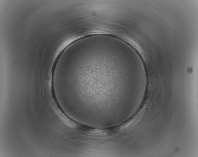 X0000094451179200711151421