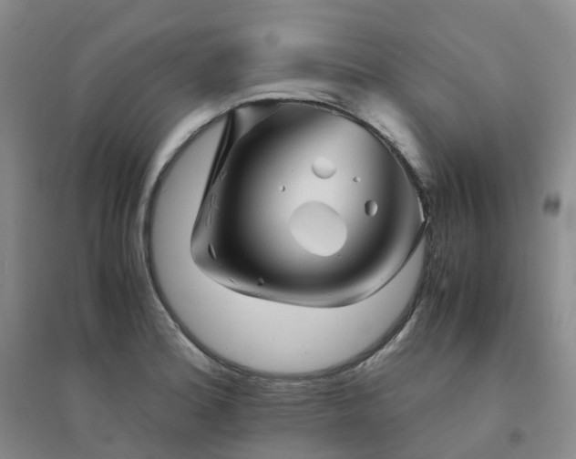 X0000094451180200711151421
