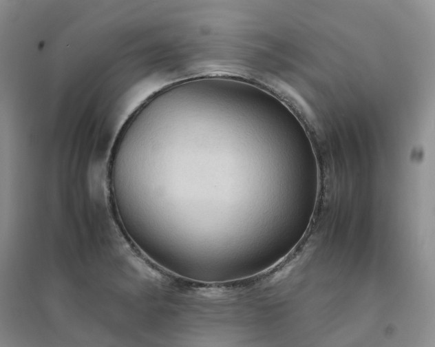 X0000094451182200711151421