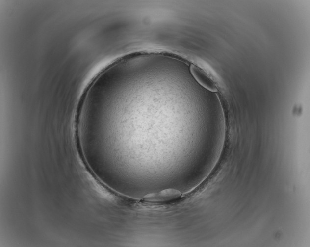X0000094451183200711151421