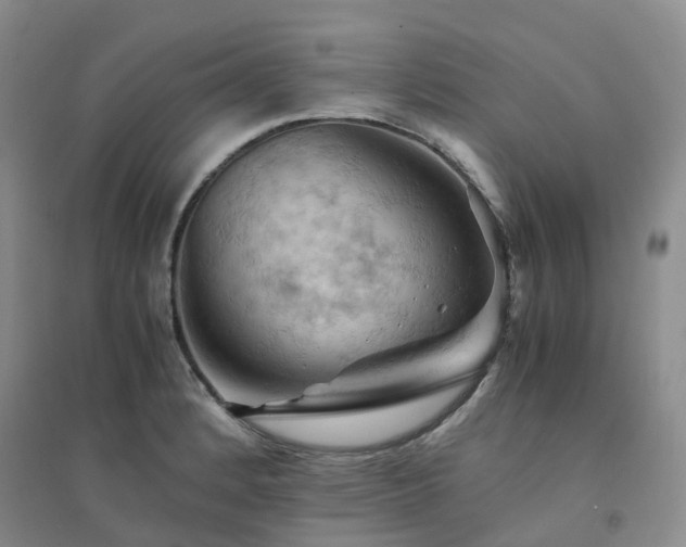 X0000094451184200711151421