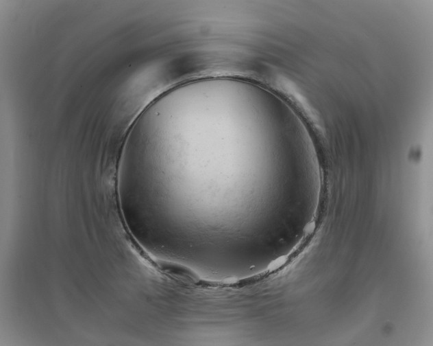 X0000094451185200711151421
