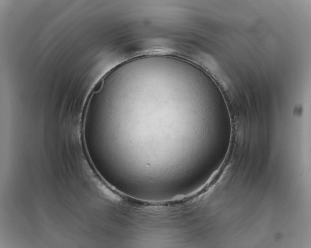 X0000094451186200711151421