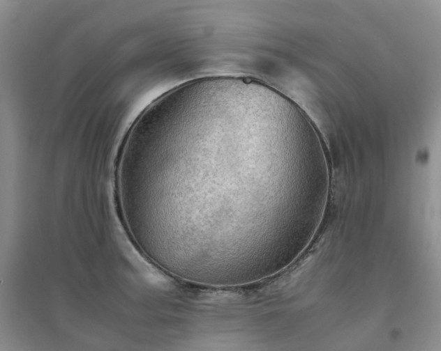 X0000094451187200711151420
