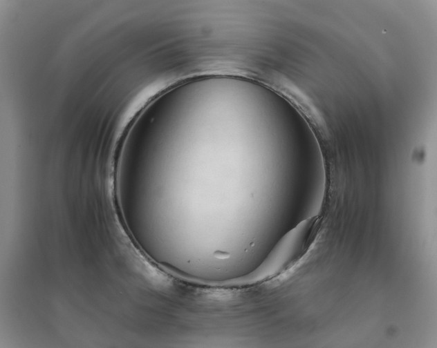 X0000094451188200711151420