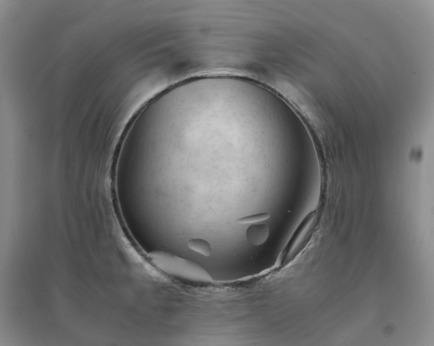 X0000094451189200711151420