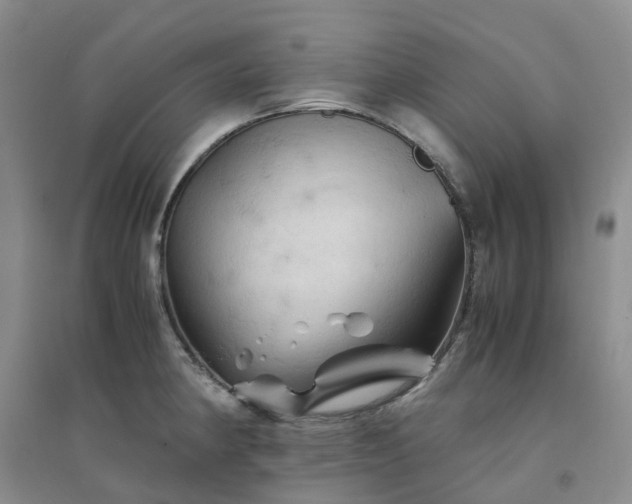 X0000094451190200711151420