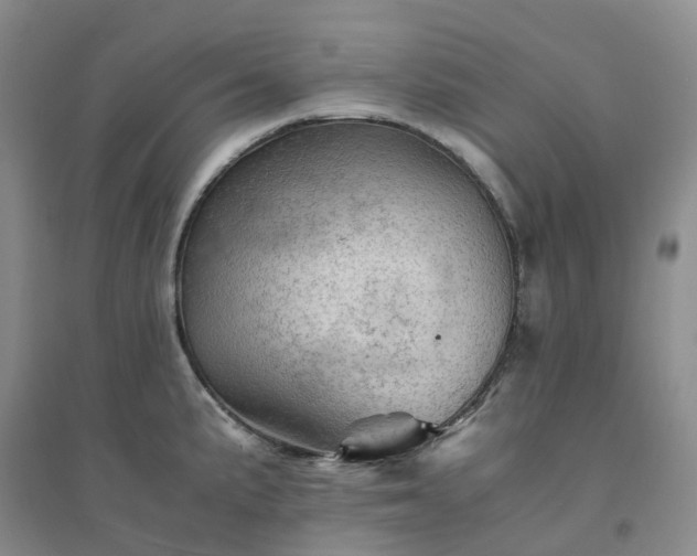 X0000094451191200711151420