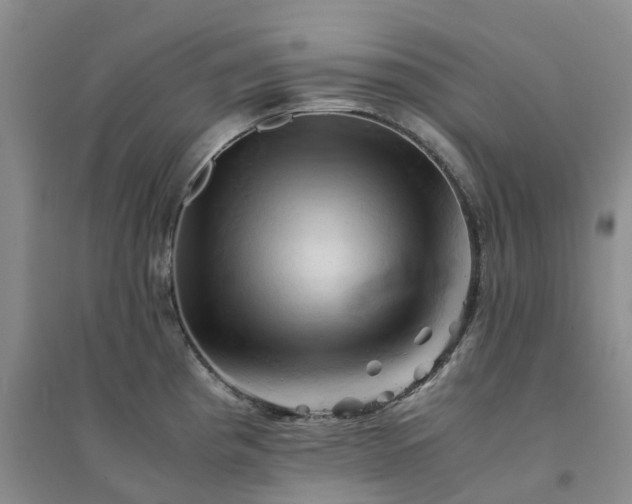 X0000094451193200711151420