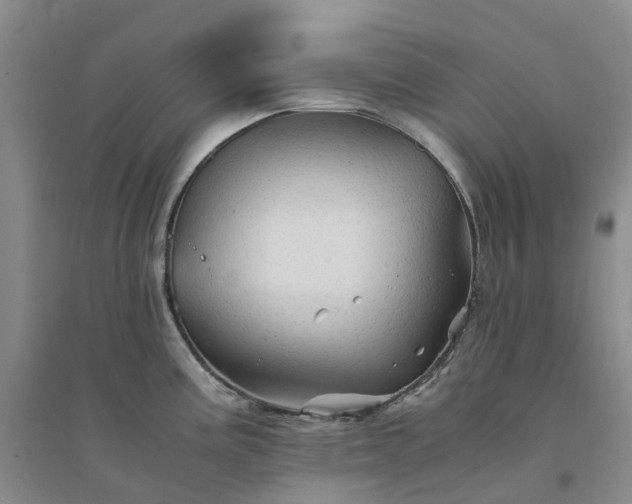 X0000094451195200711151420