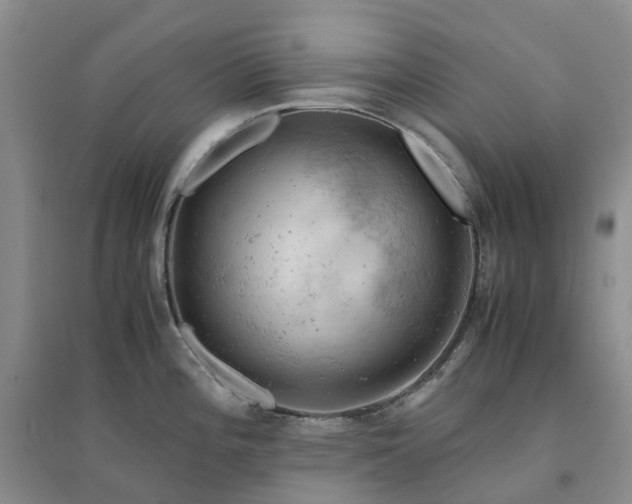 X0000094451196200711151420