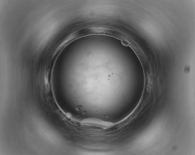 X0000094451198200711151420
