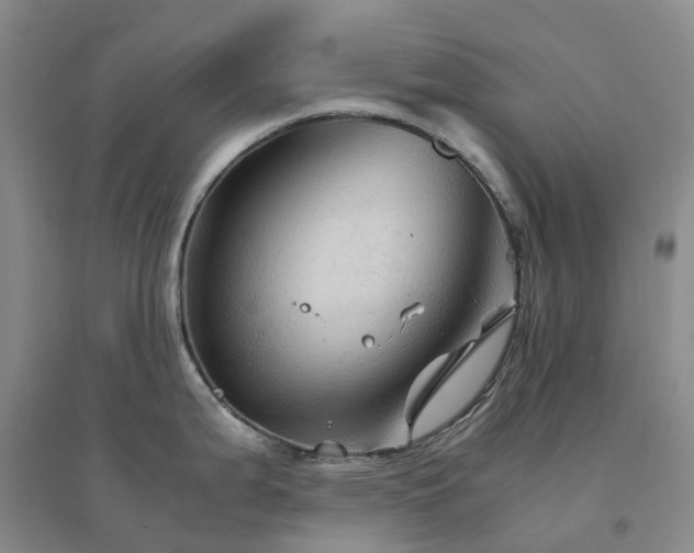 X0000094451199200711151420