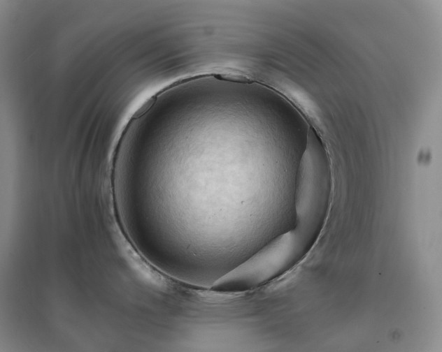 X0000094451200200711151420
