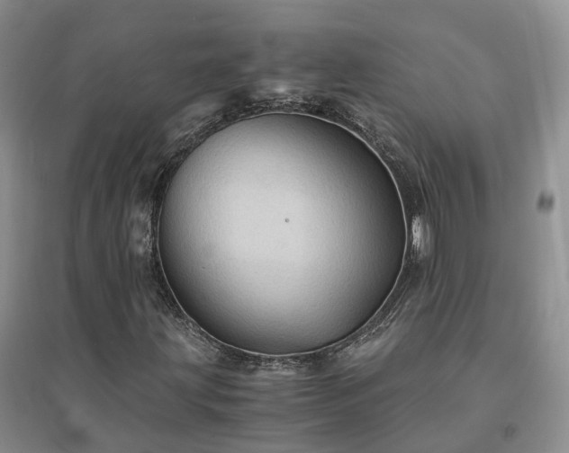 X0000094451203200711151420