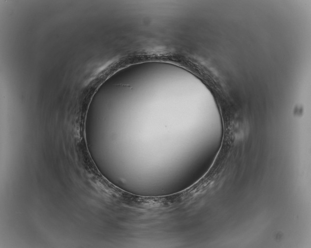 X0000094451205200711151420