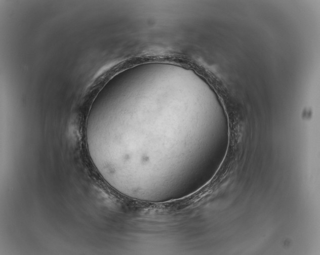 X0000094451206200711151420