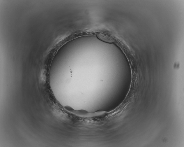 X0000094451207200711151420