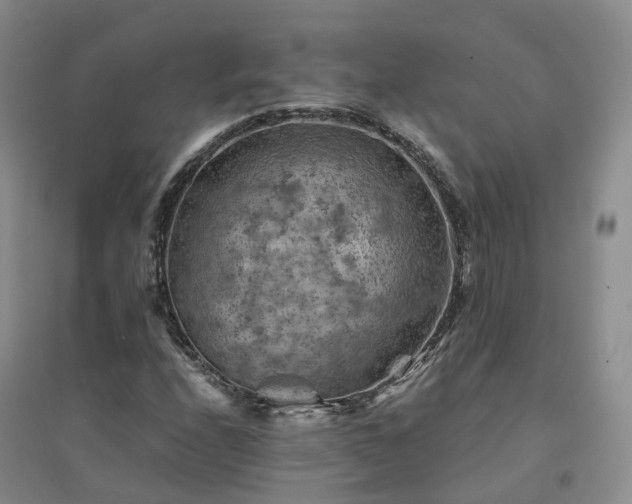 X0000094451208200711151420