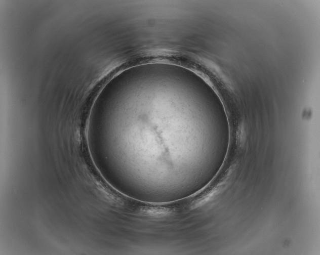 X0000094451209200711151420