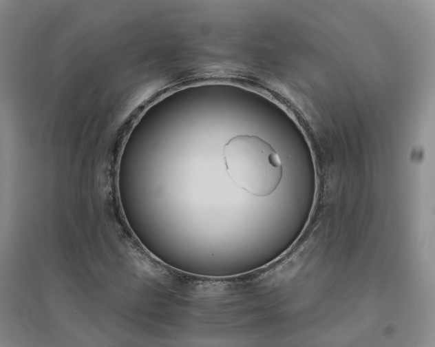 X0000094451211200711151420