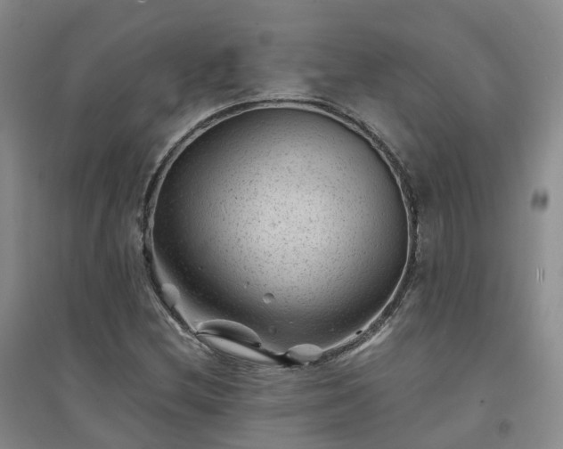 X0000094451212200711151420