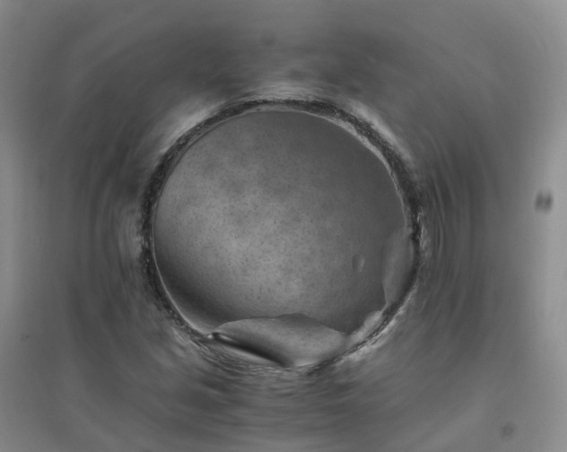 X0000094451213200711151420