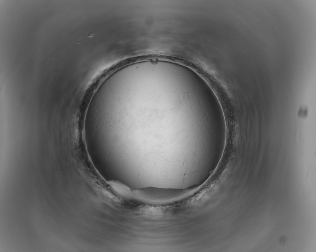 X0000094451214200711151420