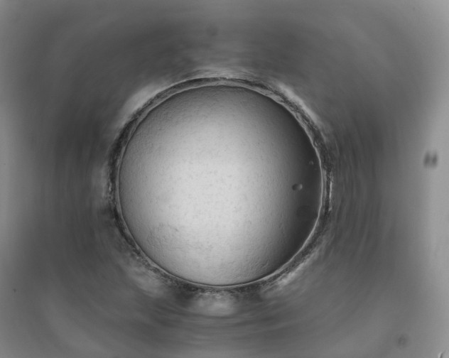 X0000094451215200711151420